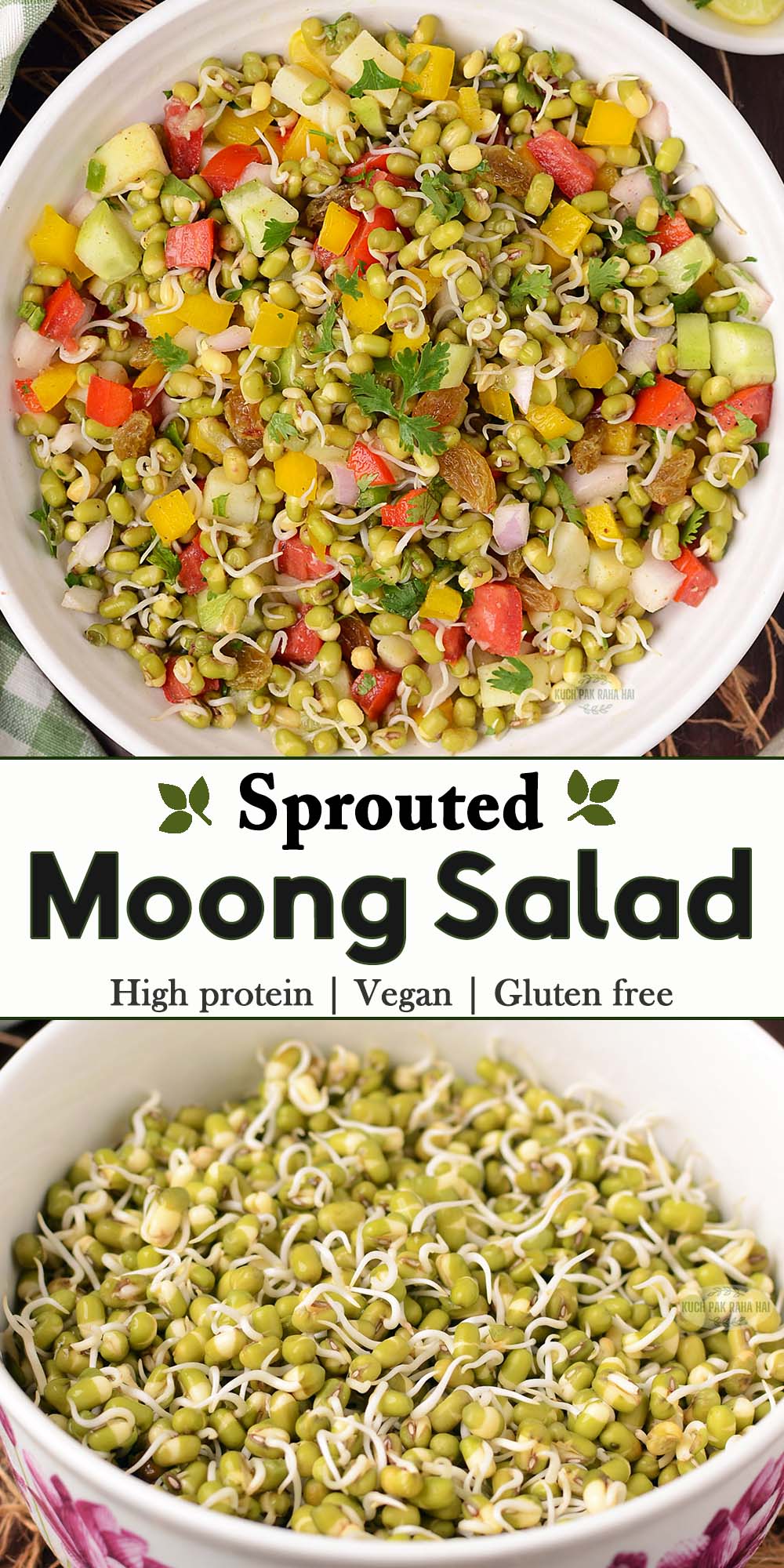 Mung bean sprouts salad recipe.