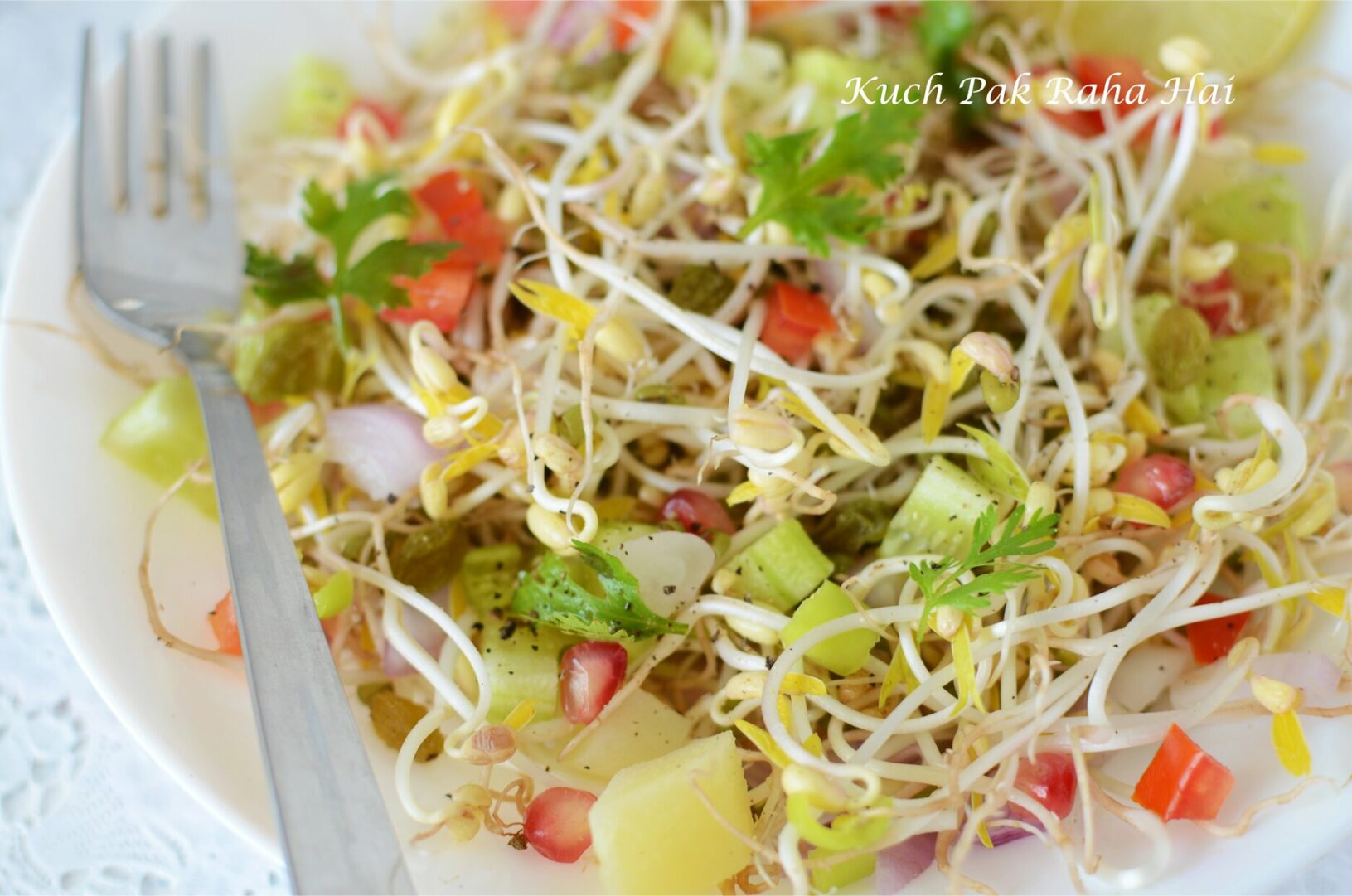 Sprouts Salad (How To Sprout Mung Beans)