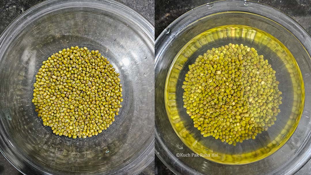 Soaking green lentils before sprouting.