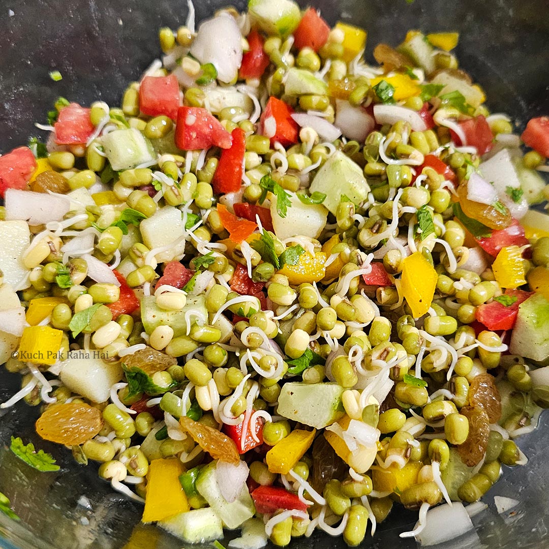 Mung bean sprout salad in a bowl ready to serve.