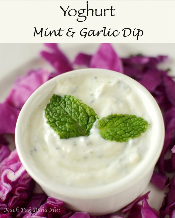 Yoghurt Garlic Mint Dip